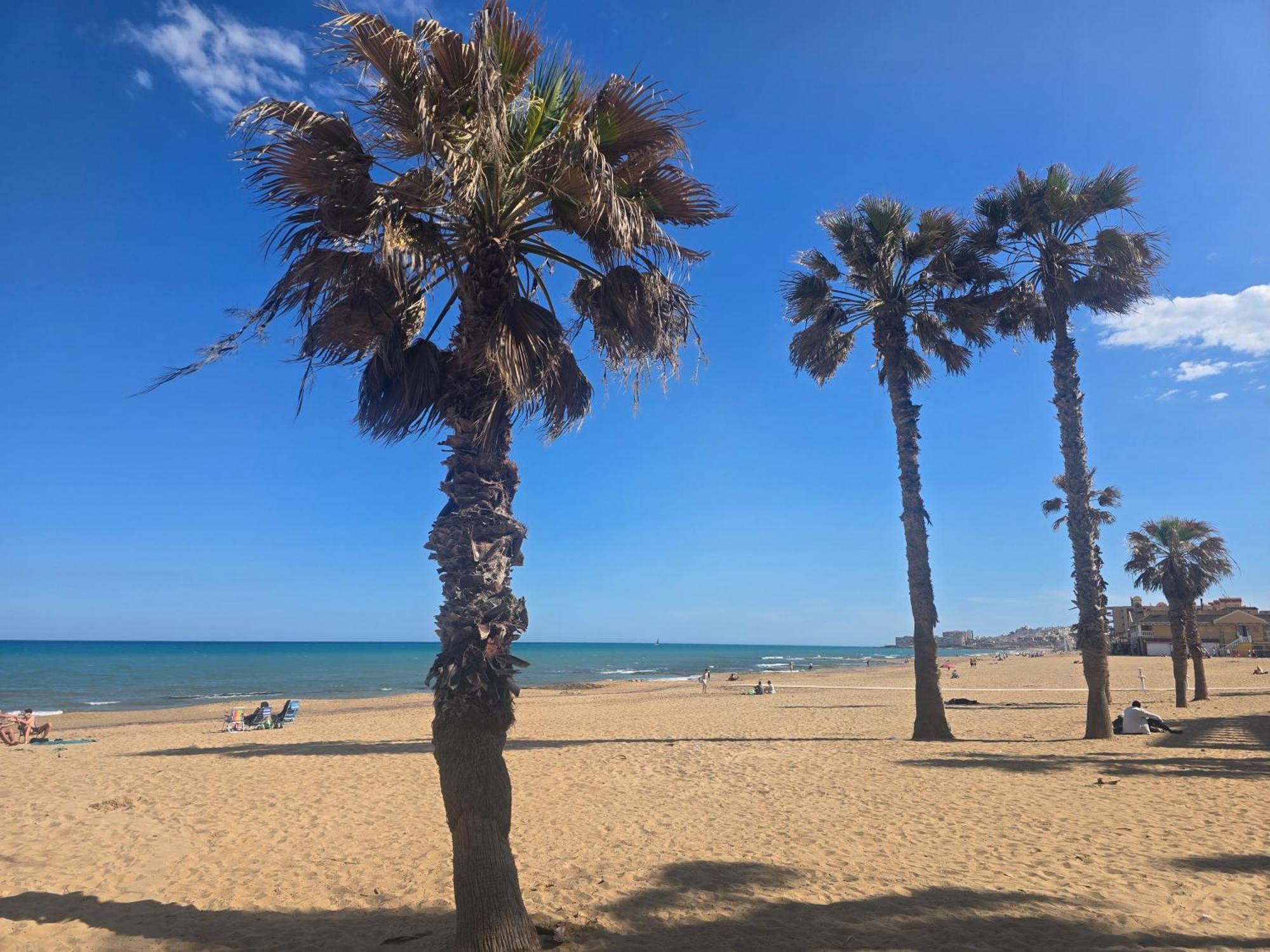 Lovely Apartment Near The Beach In Sunny La Mata Torrevieja Exteriör bild